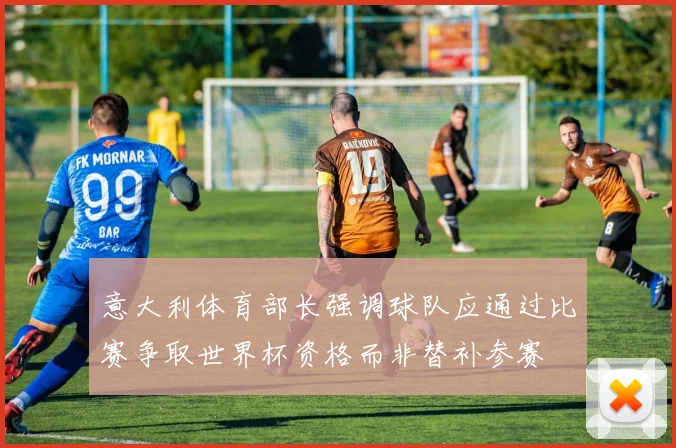 意大利体育部长强调球队应通过比赛争取世界杯资格而非替补参赛